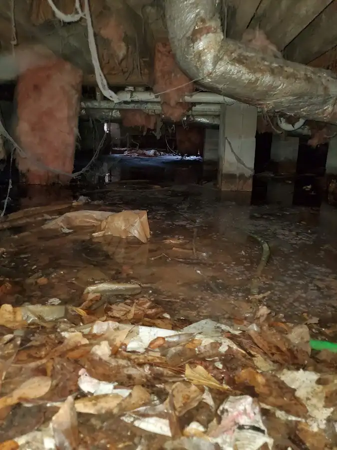 Crawl space flood assessment for Leak Detection & Repair in Flower Mound